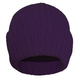 purple thinsulate hat womens